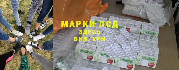 СК Бердск