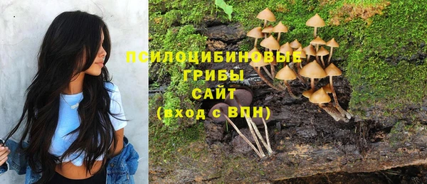 прущая мука Вяземский
